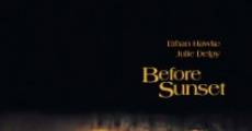 Before Sunset (aka Before Sunrise 2) (2004)