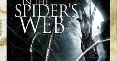In the Spider's Web film complet