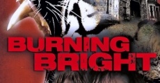 Filme completo Burning Bright