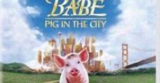 Schweinchen Babe in der großen Stadt streaming