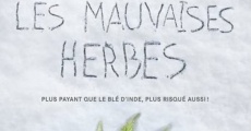 Les mauvaises herbes streaming