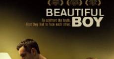 Beautiful Boy streaming