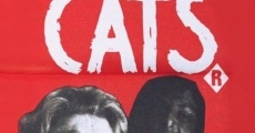 Because of the Cats film complet