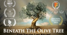 Beneath the Olive Tree