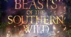 Beasts of the Southern Wild streaming