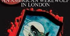 Beware the Moon: Remembering 'An American Werewolf in London' streaming