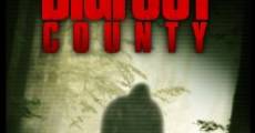 Bigfoot County film complet