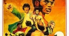 Bruce Lee - Der geheimnisvolle Tod streaming