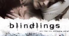 Blindlings film complet