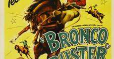 Bronco Buster (1952) stream