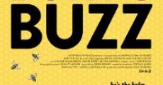 Burt's Buzz streaming