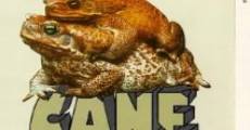 Cane Toads: An Unnatural History