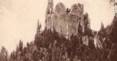 Cetatea Neamtului (1914) stream