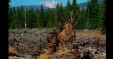 Clearcut Nation film complet