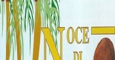 Noce di Cocco