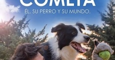 Filme completo Cometa: Él, su perro y su mundo