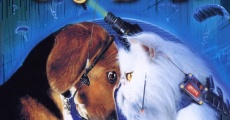 Cats & Dogs film complet
