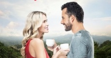 Love & Coffee film complet