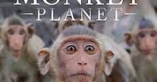 Filme completo Descubriendo a los monos
