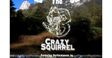 Discovering the Crazy Squirrel (2015)