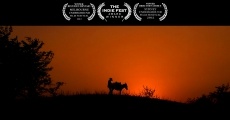 Donkey Love film complet