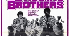 Dynamite Brothers film complet