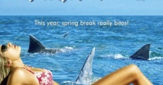 Spring Break Shark Attack