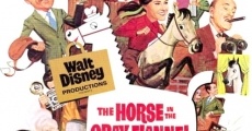 Filme completo The Horse in the Gray Flannel Suit