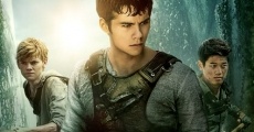 The Maze Runner film complet