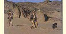 The Sheltering Desert (1991)