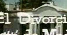 El divorcio está de moda (1978)