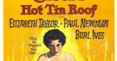 Cat on a Hot Tin Roof film complet