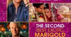 The Second Best Exotic Marigold Hotel film complet
