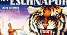 Le tigre du Bengale streaming
