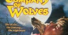 En compañía de lobos (1984) Online - Película Completa en Español - FULLTV