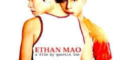 Ethan Mao streaming
