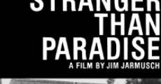 Stranger than Paradise