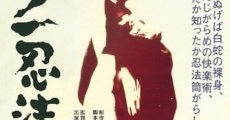 Kunoichi ninpo film complet