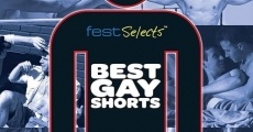 Fest Selects: Best Gay Shorts, Vol. 1 streaming
