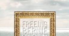 Freeing Bernie Baran streaming