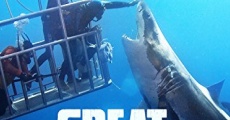 Great White Shark: Beyond the Cage of Fear streaming