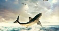 Great White Shark Legend film complet
