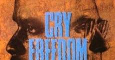 Cry Freedom film complet