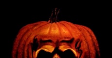 Halloween 2 - Das Grauen kehrt zurück streaming
