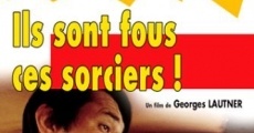 Ils sont fous ces sorciers film complet