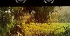 In the Orchard film complet
