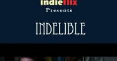 Indelible streaming