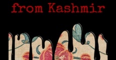 Information for/from Outsiders: Chronicles from Kashmir streaming