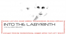 Filme completo Into the Labyrinth