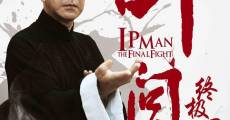 Ip Man: Le combat final streaming